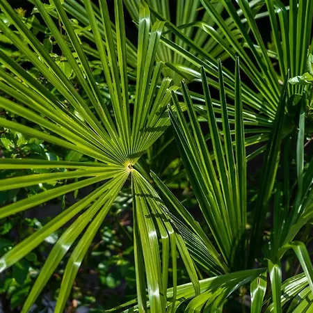 Apartament Downtown Dorian And Nadia