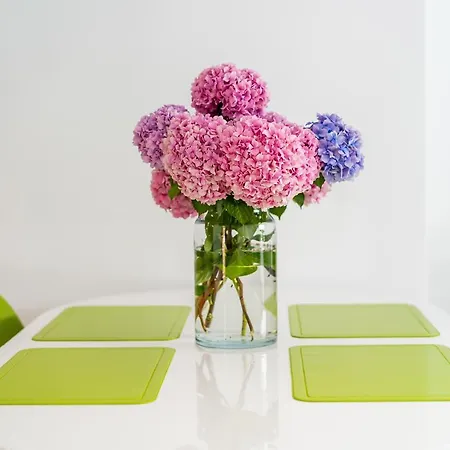 Downtown Dorian And Nadia * Opatija